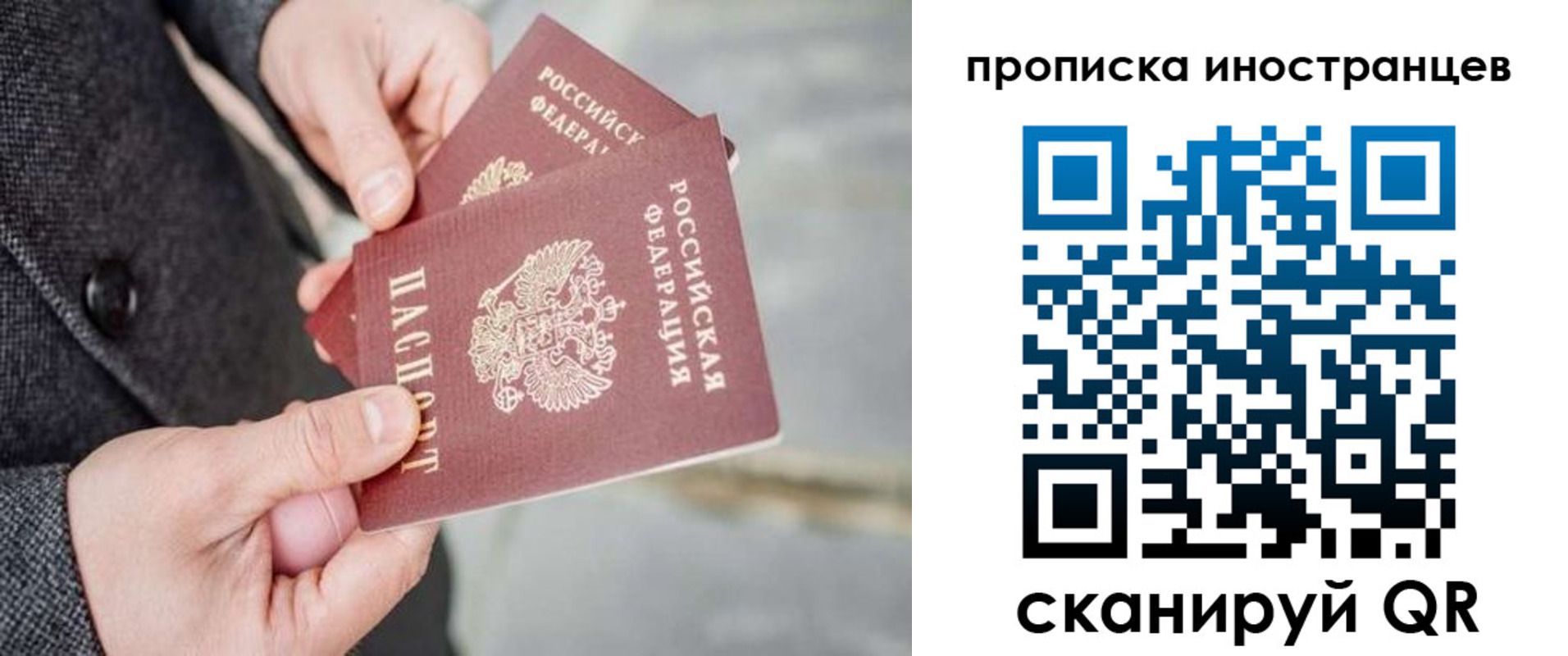 прописка для школы в Ершове